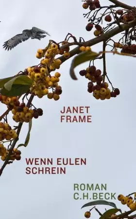 Couverture du produit · Wenn Eulen schrein: Roman