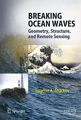 Couverture du produit · Breaking Ocean Waves: Geometry, Structure and Remote Sensing (Springer Praxis Books)