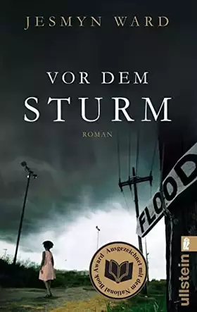 Couverture du produit · Vor dem Sturm: Roman