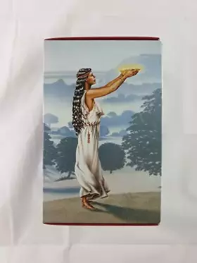Couverture du produit · Die Herrin von Avalon