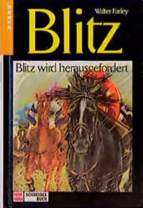 Couverture du produit · Blitz, Bd.10, Blitz wird herausgefordert