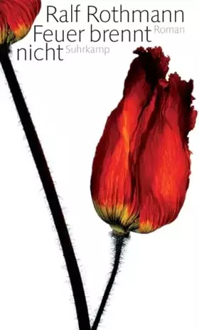 Couverture du produit · Feuer brennt nicht: Roman