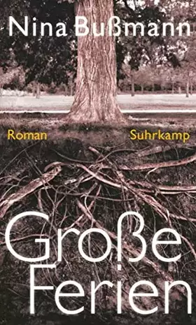 Couverture du produit · Große Ferien: Roman