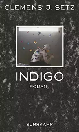Couverture du produit · Indigo: Roman