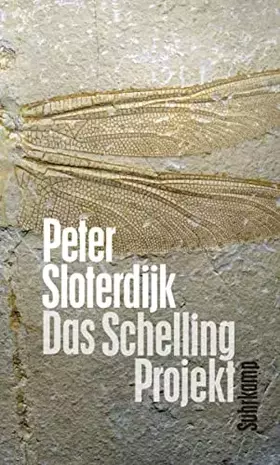 Couverture du produit · Das Schelling-Projekt: Bericht