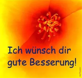 Couverture du produit · Ich wünsch dir gute Besserung