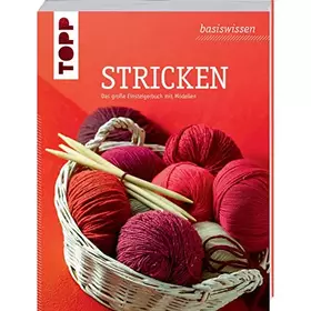 Couverture du produit · basiswissen Stricken: Das große Einsteigerbuch mit Modellen