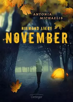 Couverture du produit · Niemand liebt November