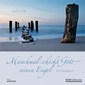 Couverture du produit · Manchmal schickt Gott seinen Engel: Ein Trostbuch