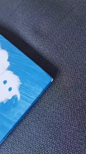 Couverture du produit · Loni fliegt