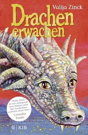 Couverture du produit · Drachenerwachen