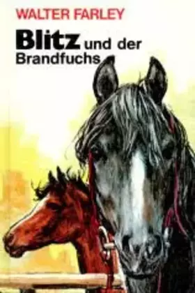 Couverture du produit · Blitz und der Brandfuchs. (Blitz ; Bd. 8) ( Ab 10 J.)