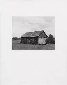 Couverture du produit · Forest and Fields - Volume 1. Neighbors (Forest & Fields, Band 1)