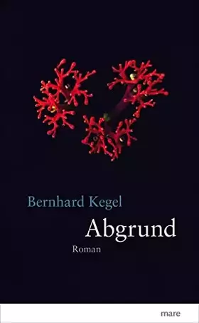 Couverture du produit · Abgrund: Roman