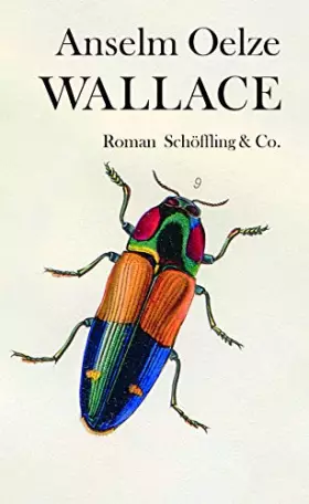 Couverture du produit · Wallace: Roman
