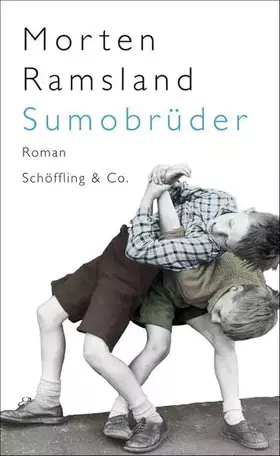 Couverture du produit · Sumobrüder: Roman