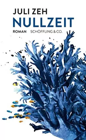 Couverture du produit · Nullzeit