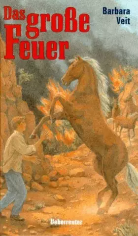 Couverture du produit · Das grosse Feuer
