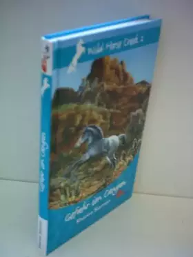 Couverture du produit · Gefahr im Canyon