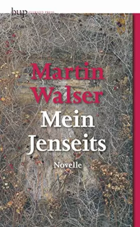 Couverture du produit · Mein Jenseits. Novelle