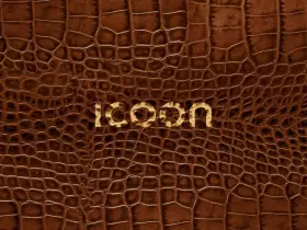 Couverture du produit · ICOON-croco (2008)