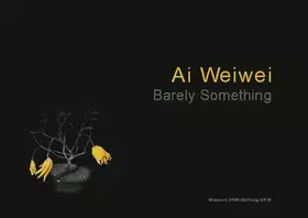 Couverture du produit · Ai Weiwei - Barely Something