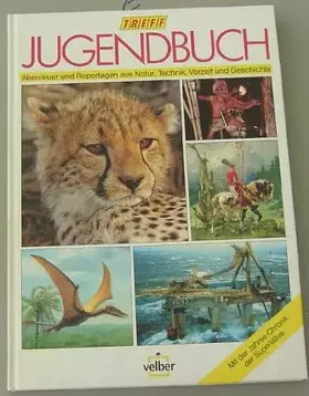 Couverture du produit · Treff-Jugendbuch 95.