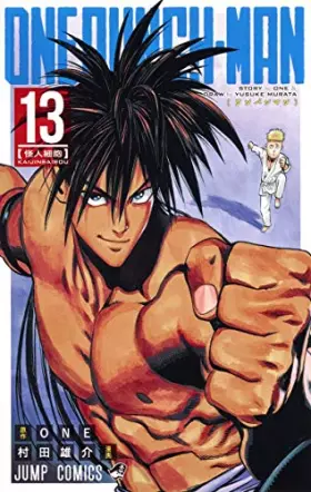 Couverture du produit · One Punch 13