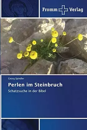 Couverture du produit · Perlen im Steinbruch (German Edition)