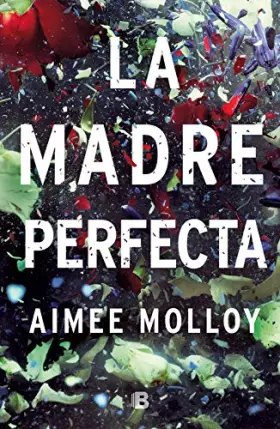 Couverture du produit · La madre perfecta