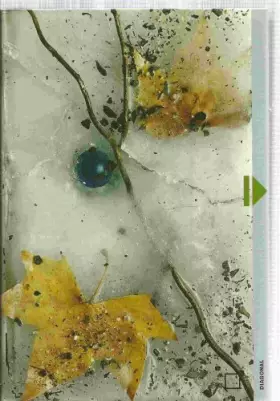 Couverture du produit · El Secreto De Amanda