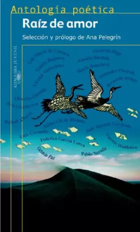 Couverture du produit · Raiz De Amor