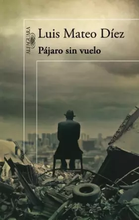 Couverture du produit · Pájaro sin vuelo