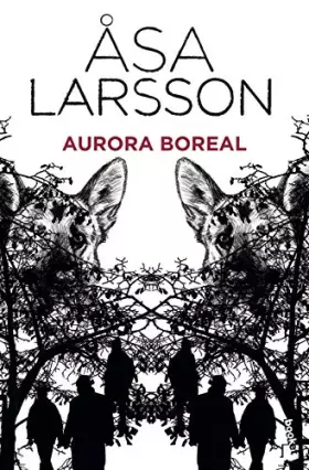 Couverture du produit · Aurora boreal