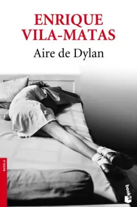 Couverture du produit · Aire de Dylan (Novela)