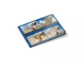 Couverture du produit · Segesta & Selinunte nel passato e nel presente. Ediz. francese