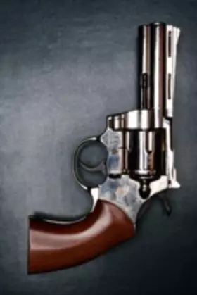 Couverture du produit · Shoot the artist