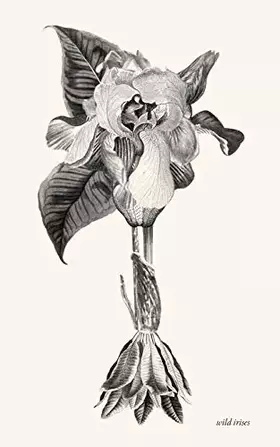 Couverture du produit · wild irises
