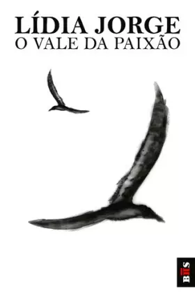 Couverture du produit · O vale da paixao