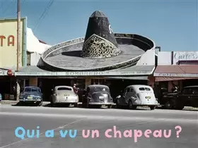 Couverture du produit · Qui a vu un chapeau ?