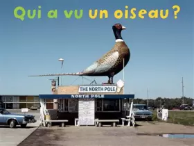 Couverture du produit · Qui a vu un oiseau ?