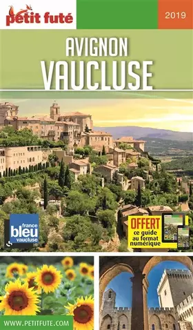 Couverture du produit · Petit Futé Avignon-Vaucluse