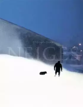 Couverture du produit · Neiges