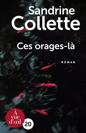 Couverture du produit · Ces orages-là