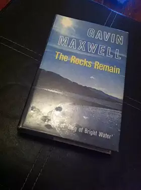 Couverture du produit · The rocks remain