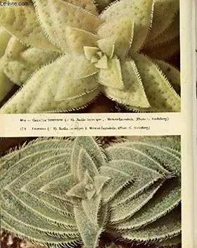 Couverture du produit · Beautés de la flore exotique.