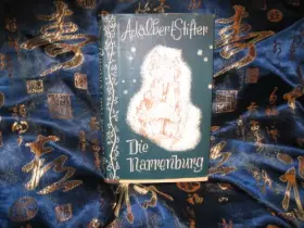 Couverture du produit · Die Narrenburg