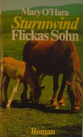 Couverture du produit · Sturmwind Flickas Sohn - Roman