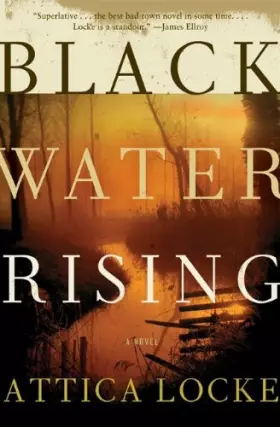 Couverture du produit · Black Water Rising: A Novel