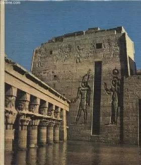 Couverture du produit · NUBIE SPLENDEUR SAUVEE